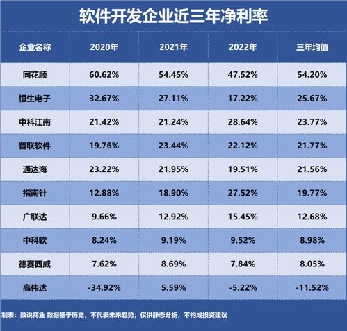 軟件開發行業中誰是最盈利的企業？